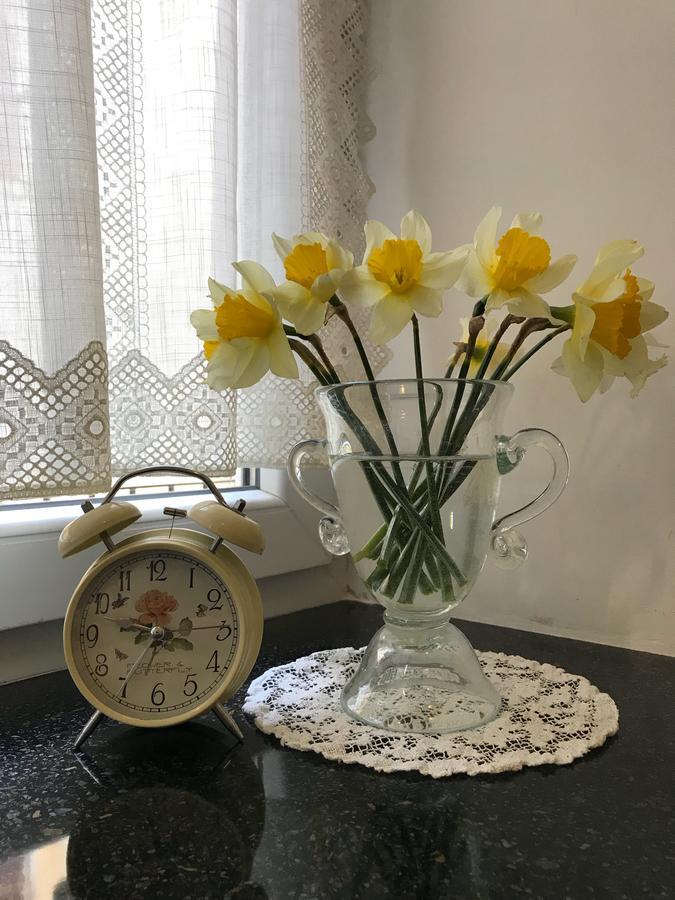 Apartment Natalya リヴィウ エクステリア 写真